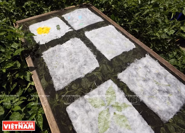 La fabrication du papier "do" dans la province de Hoà Binh ảnh 9