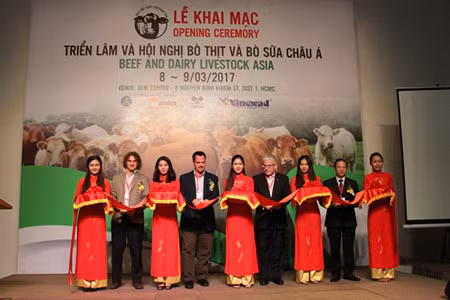 Vietnam-Australie : coopération dans l’élevage bovin ảnh 1