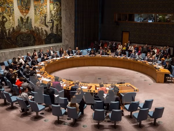 La Malaisie assume la présidence tournante du Conseil de sécurité de l'ONU ảnh 1