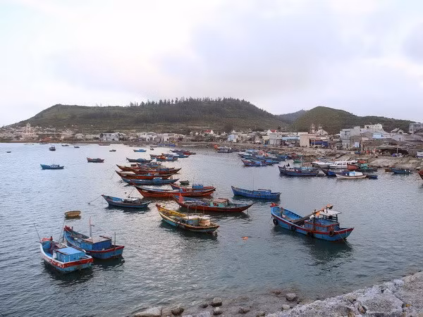 Des mesures rigoureuses pour lutter contre la pêche INN ảnh 1