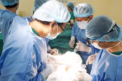 Première greffe de rein dans un hôpital privé à Hô Chi Minh-Ville ảnh 1 Première greffe de rein dans un hôpital privé à Hô Chi Minh-Ville ảnh 1
