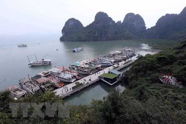 La fréquentation touristique s'envole à Quang Ninh ảnh 1