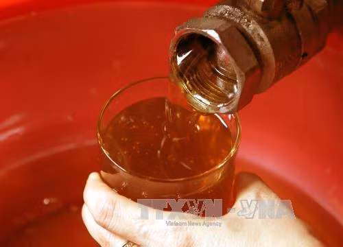 Le Vietnam classé au 2e rang des pays asiatiques exportateurs de miel ảnh 1 Le Vietnam classé au 2e rang des pays asiatiques exportateurs de miel ảnh 1