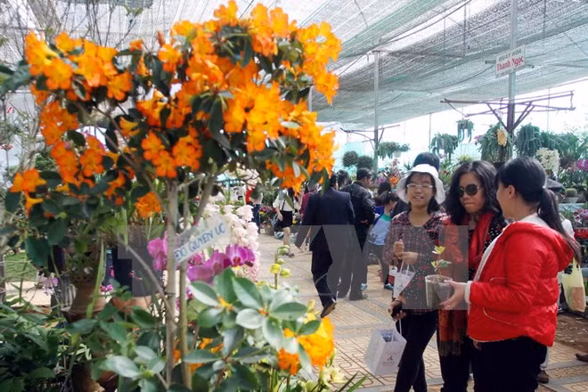 Clôture des 6e Floralies de Da Lat ảnh 1