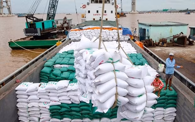 Le prix du riz vietnamien exporté est le plus élevé au monde ảnh 1