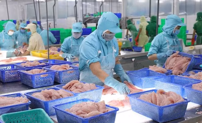 Les exportations de pangasius devraient rebondir au troisième trimestre 2023 ảnh 1