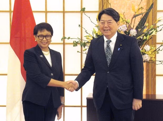 L'Indonésie et le Japon renforcent leur coopération et leurs investissements ảnh 1