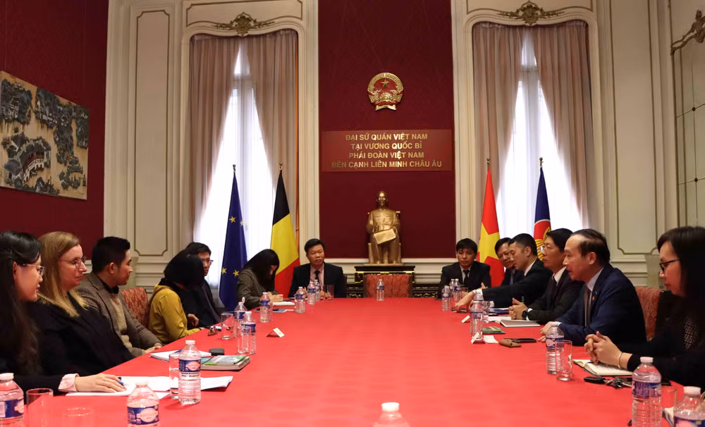Ninh Binh souhaite promouvoir le tourisme en Belgique ảnh 1