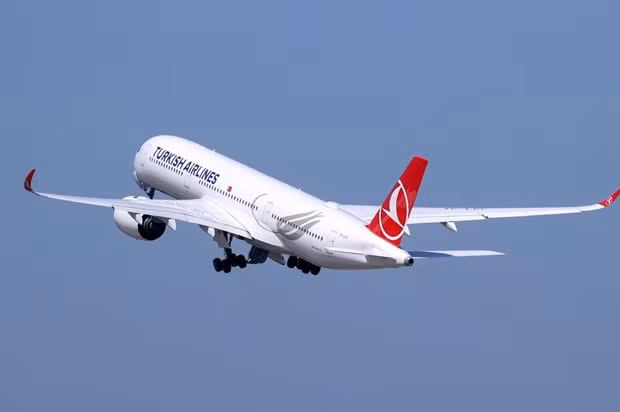 L'Indonésie et la Turquie promeuvent le développement du tourisme ảnh 1 L'Indonésie et la Turquie promeuvent le développement du tourisme ảnh 1