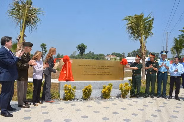 Près de trois hectares dépollués de l’aéroport de Biên Hoa remis au Vietnam ảnh 2
