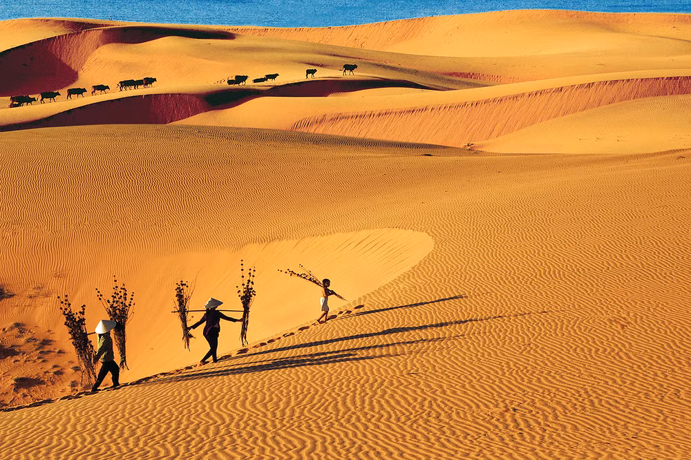 Binh Thuân prête à la cérémonie d’ouverture de l’Année nationale du tourisme 2023 ảnh 2