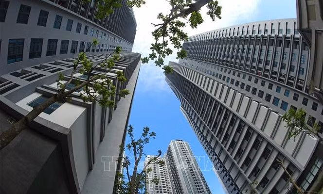 Le taux d'urbanisation du Vietnam atteint 41% ảnh 1