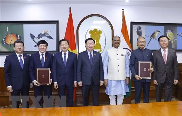 Le Vietnam contribue à porter les relations ASEAN-Inde à une nouvelle hauteur ảnh 2