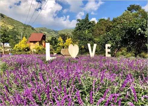 Festival de couleurs dans la vallée des fleurs de Bac Hà ảnh 1