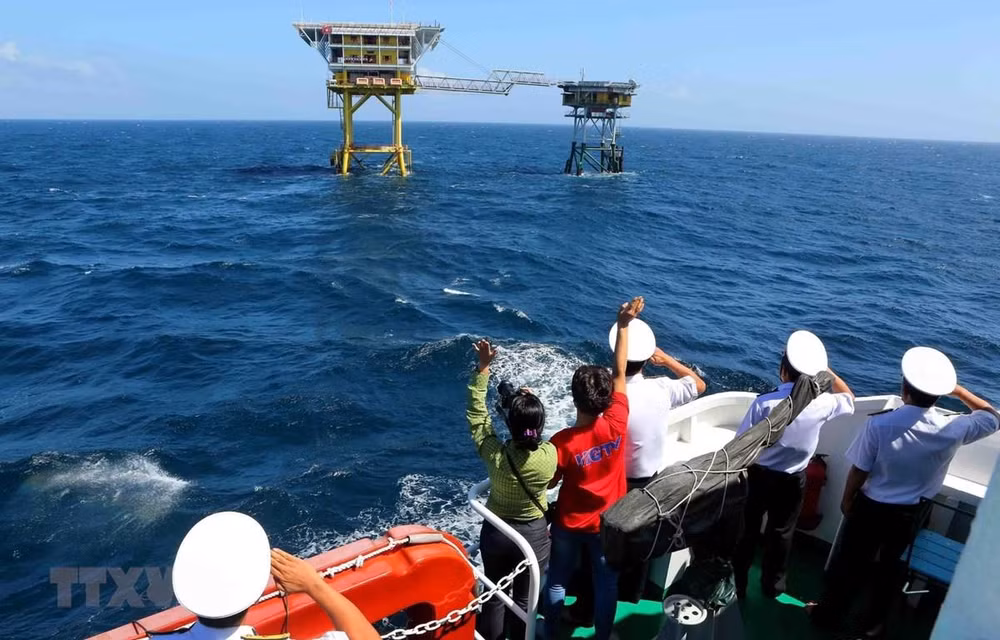 Le Vietnam persiste dans la protection de sa souveraineté ảnh 1