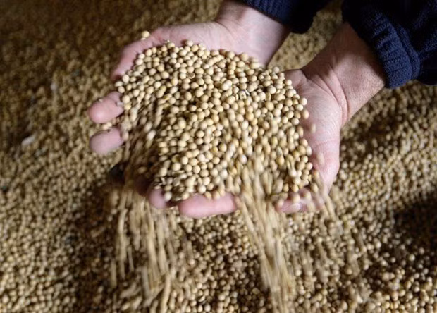 Le Mercosur veut devenir le principal fournisseur de produits alimentaires de l'ASEAN ảnh 1