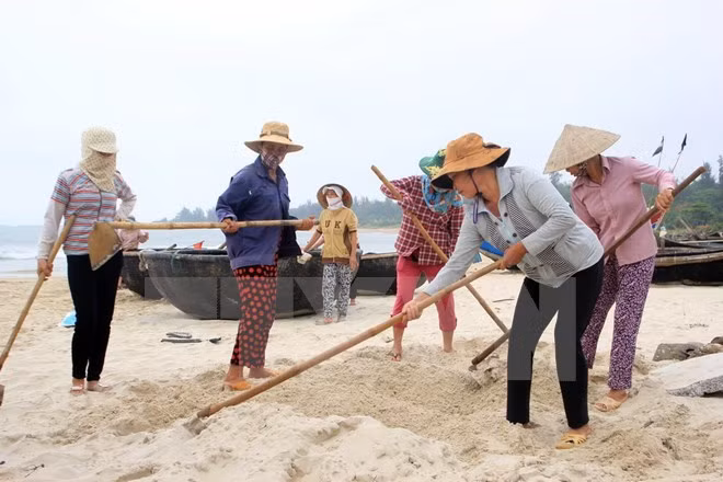 Hécatombe de poissons : un vice-PM se rend à Quang Tri et Quang Binh ảnh 1