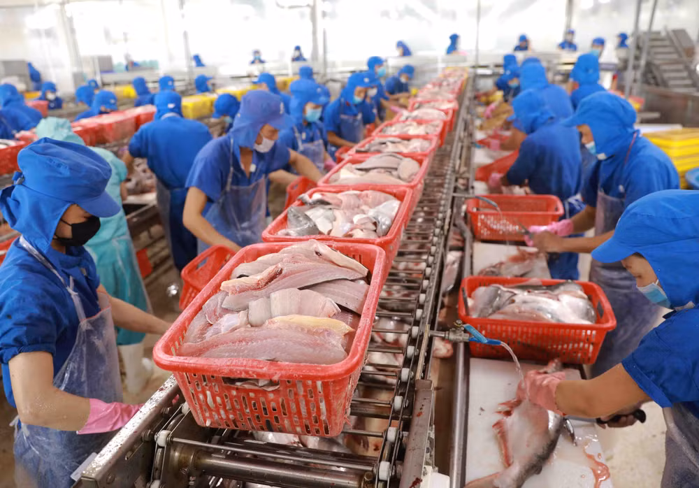 Les exportations de produits aquatiques en hausse de 43,7% en quatre mois ảnh 1 Les exportations de produits aquatiques en hausse de 43,7% en quatre mois ảnh 1