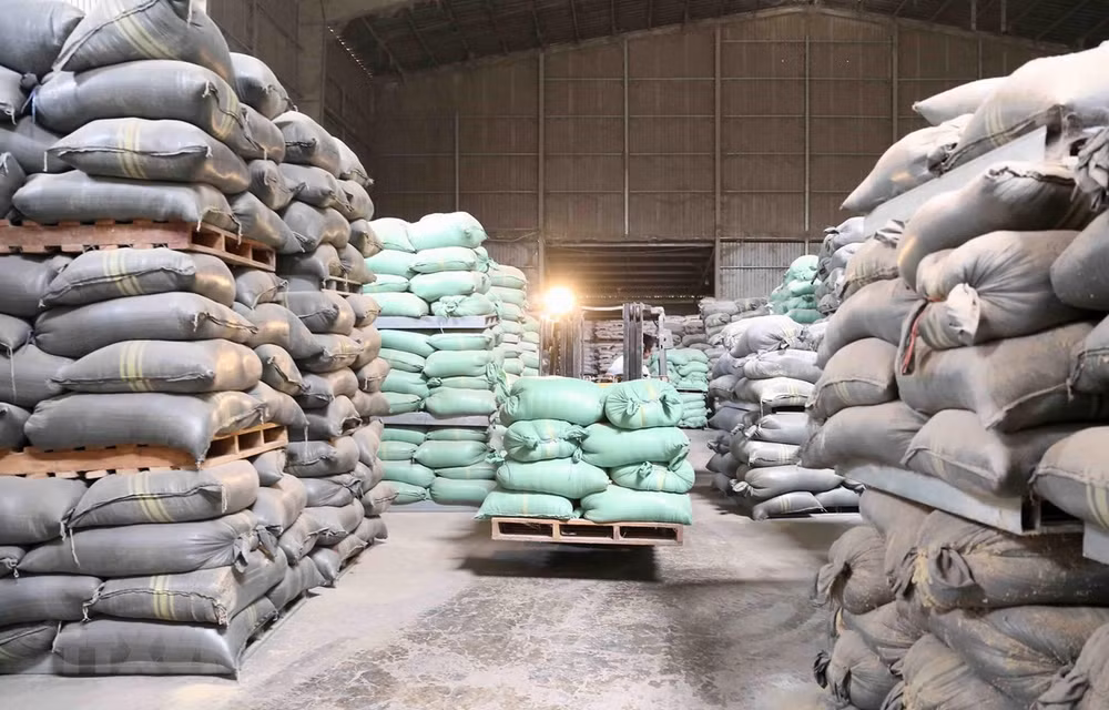 Têt: 13.615 tonnes de riz allouées à neuf localités ảnh 1