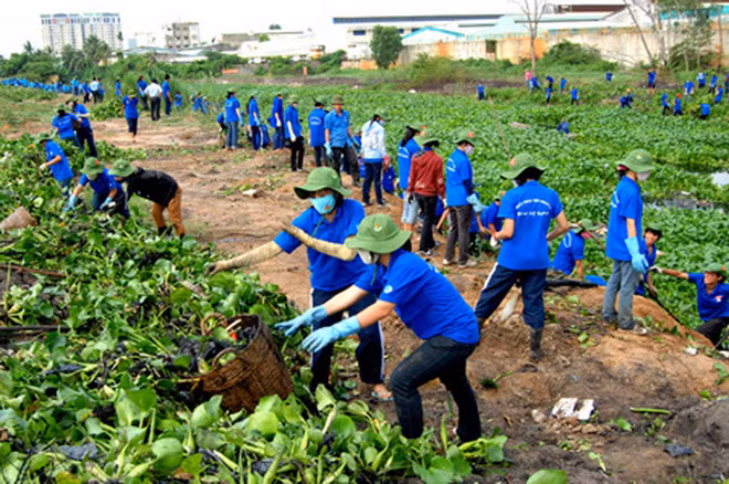 Bac Ninh fait écho à la campagne "Pour un monde plus propre" ảnh 1