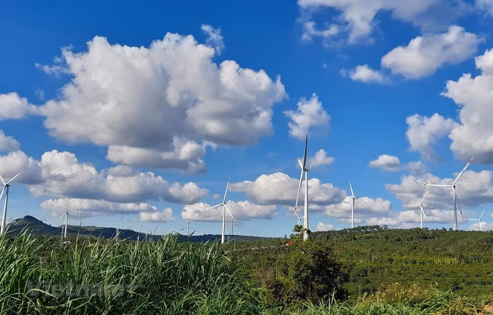 BM: Le changement climatique pourrait reléguer un million de personnes dans l'extrême pauvreté ảnh 1
