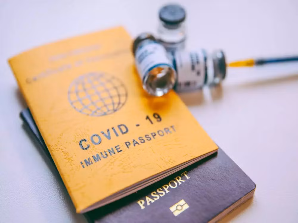 L'ASEAN pousse à la convergence numérique pour un passeport vaccinal mondial ảnh 1