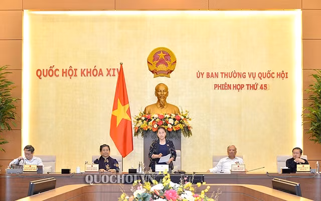 La 2e phase de la 45e réunion du Comité permanent de l’AN prévue le 1er juin ảnh 1