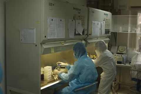 COVID-19: le vaccin "made in Vietnam" se révèle efficace sur la souris ảnh 1 COVID-19: le vaccin "made in Vietnam" se révèle efficace sur la souris ảnh 1