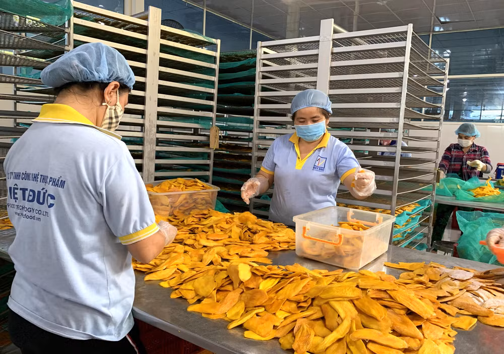 Croissance exceptionnelle des exportations de fruits et légumes bien transformés ảnh 1