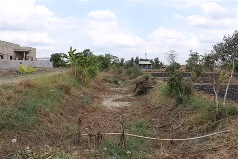 Des acquis dans la restructuration agricole ảnh 1