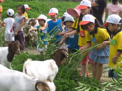Le bonheur des enfants est dans le pré ảnh 1