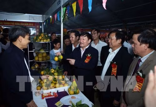 La 2e fête des oranges de Hung Yen ảnh 1 La 2e fête des oranges de Hung Yen ảnh 1