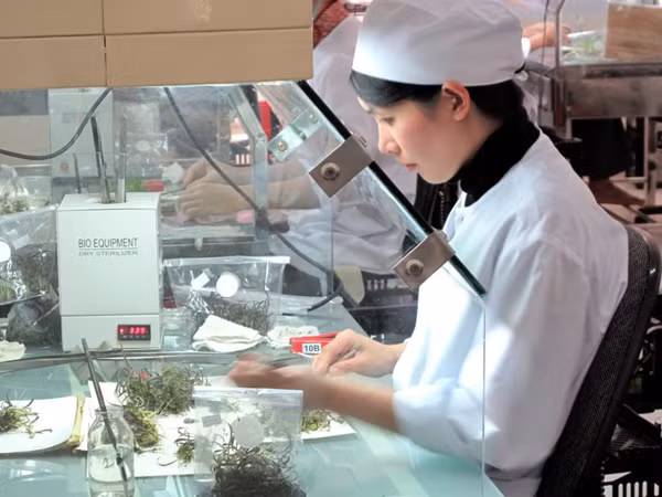 Ressources génétiques : colloque sur le Protocole de Nagoya ảnh 1