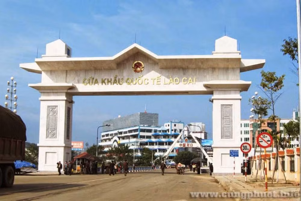 Plus de 343.000 tonnes de produits agricoles exportés via la porte-frontière de Lao Cai en cinq mois ảnh 1