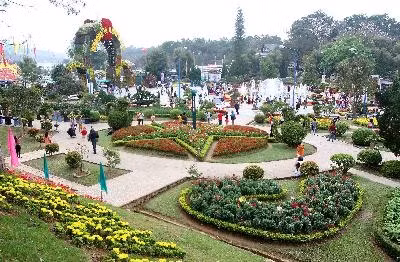 Les nouveautés attendues au Festival floral de Dà Lat 2017 ảnh 2