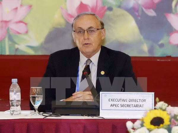 Le Vietnam contribue à la définition des orientations futures de l’APEC ảnh 1