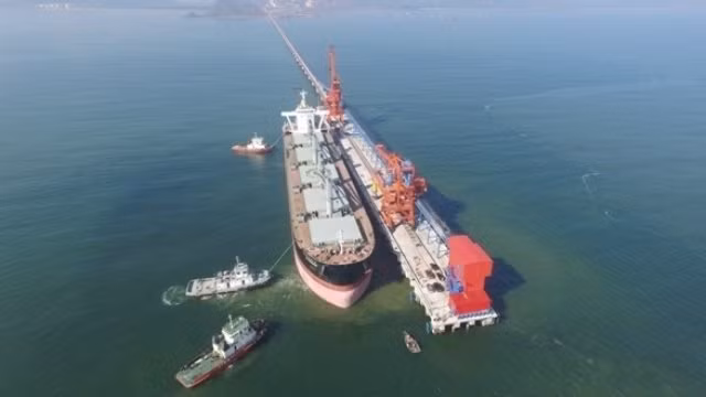 Le quai international de Vissai mis en service à Nghe An ảnh 1