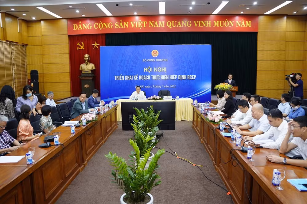Les entreprises vietnamiennes cherchent à capitaliser sur le RCEP ảnh 1 Les entreprises vietnamiennes cherchent à capitaliser sur le RCEP ảnh 1