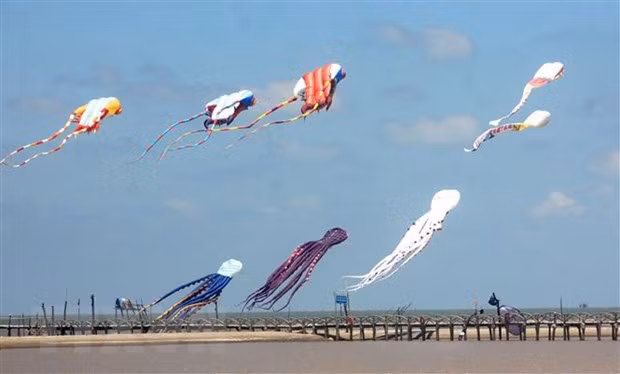 Le 2e Festival national du cerf-volant au rythme de la valse des vents ảnh 1