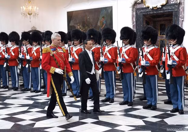La reine de Danemark reçoit l'ambassadeur vietnamien Luong Thanh Nghi ảnh 1