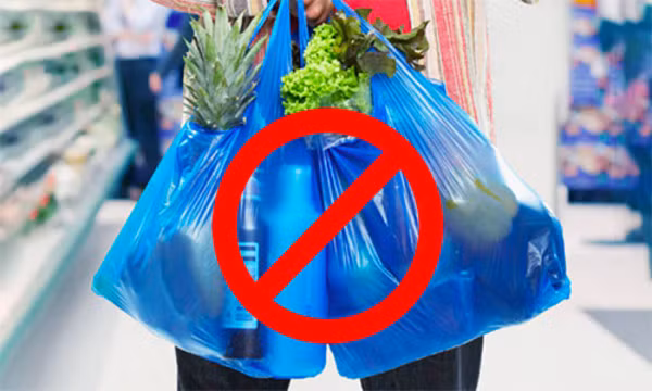 Le Vietnam bannira les sacs plastiques des marchés d’ici 2030 ảnh 1 Le Vietnam bannira les sacs plastiques des marchés d’ici 2030 ảnh 1
