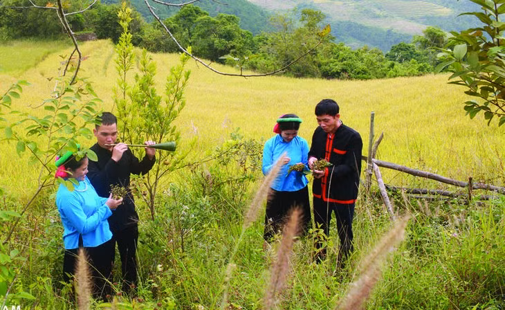 À Quang Ninh, plongée au cœur de la fête du Soong Co ảnh 2
