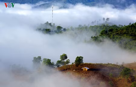 Le plateau de Sin Hô : un site paradisiaque du Nord-Ouest ảnh 1