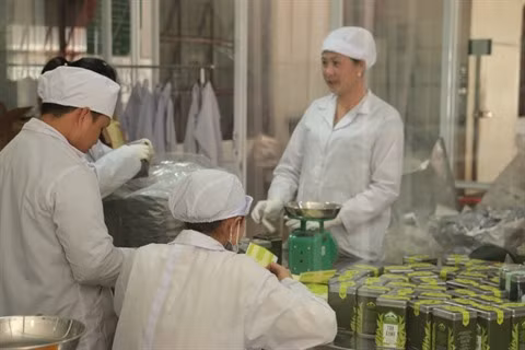 À la découverte de la plus ancienne usine de production de thé à Lâm Dông ảnh 3