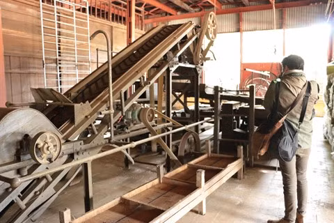 À la découverte de la plus ancienne usine de production de thé à Lâm Dông ảnh 2