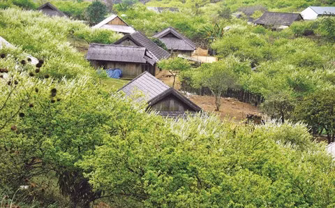 Tây Bac, une mine d’or à exploiter ảnh 1