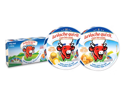 Inauguration d'une nouvelle fromagerie à Binh Duong ảnh 1