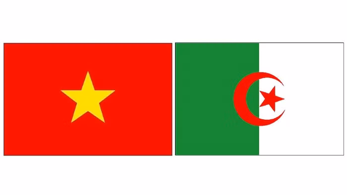 Vietnam - Algérie: Pour une coopération renforcée ảnh 1 Vietnam - Algérie: Pour une coopération renforcée ảnh 1