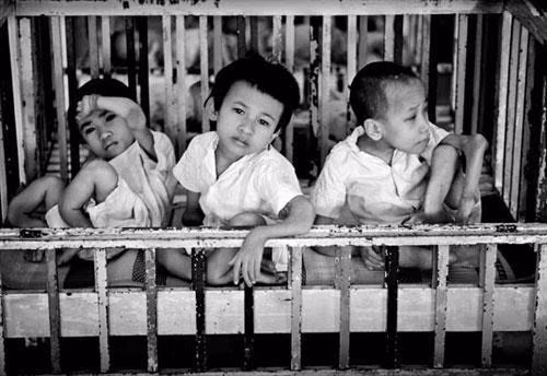 Continuer à aider les victimes de l'agent orange ảnh 1