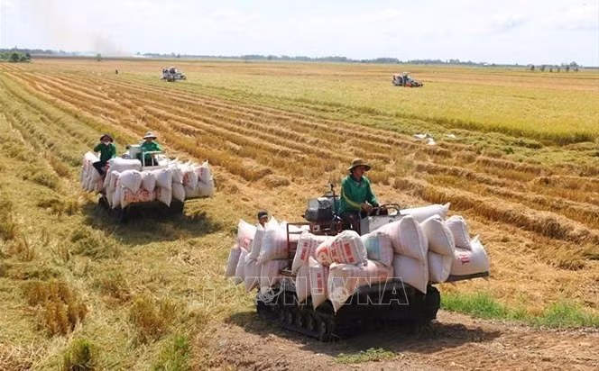 Répondre aux préoccupations en matière de sécurité alimentaire ảnh 1
